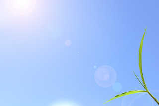103640_2.jpg