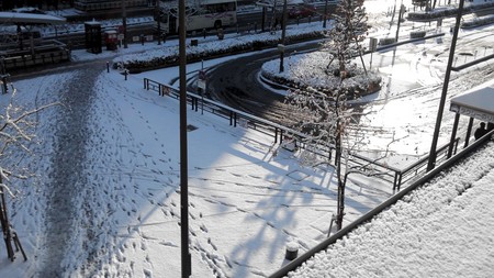 2016-01-20 08.44.37.jpg
