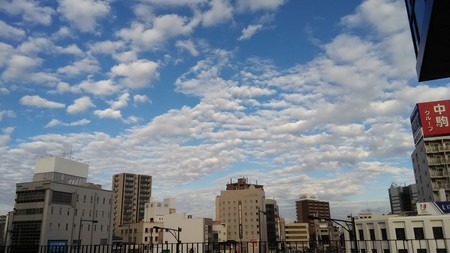 2018-12-22 14.57.24.jpg