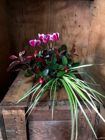 20181206142814bZ6o12.jpg
