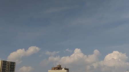 2020-08-09 15.58.04.jpg