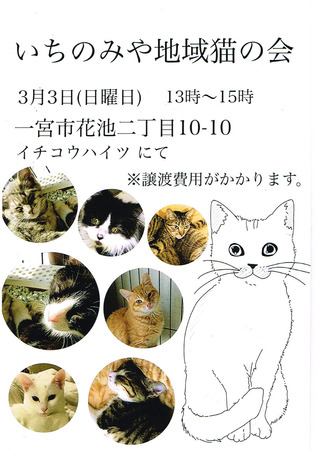 CCI20190301.jpg